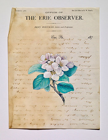 The Erie Observer (DN13153)